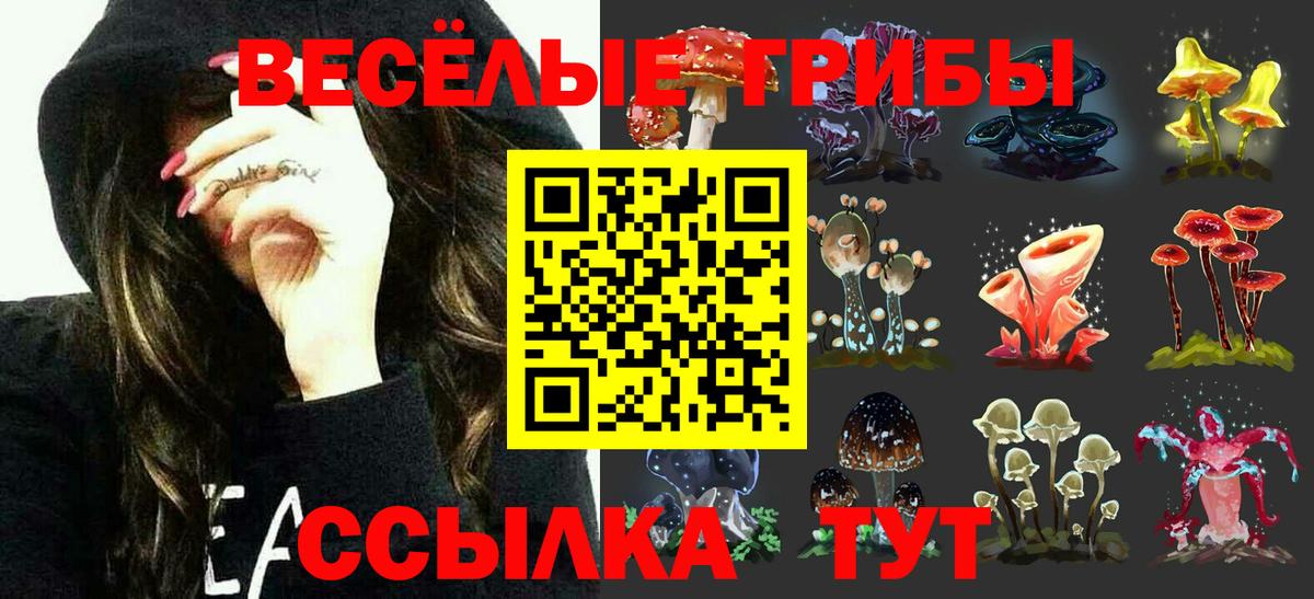 Галлюциногенные грибы Psilocybe Губаха