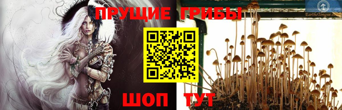сколько стоит  Псилоцибиновые грибы Magic Shrooms  Вход с VPN  Губаха 